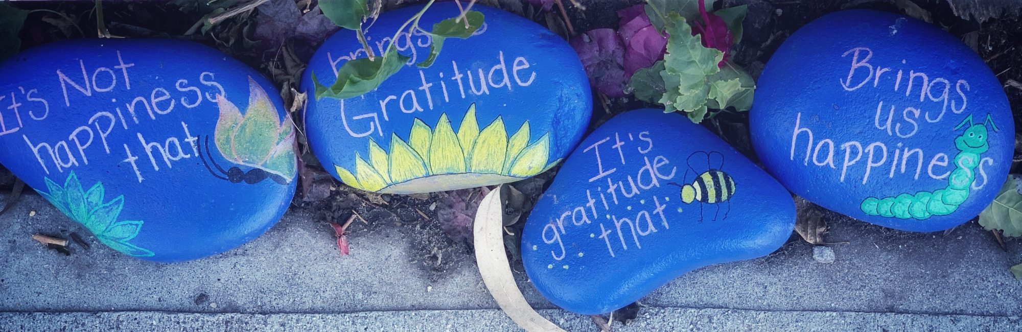 gratitude message drawn onto rocks
